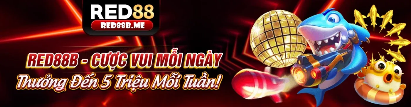 Tổng hợp các chương trình khuyến mãi hấp dẫn từ Kuwin VIP
